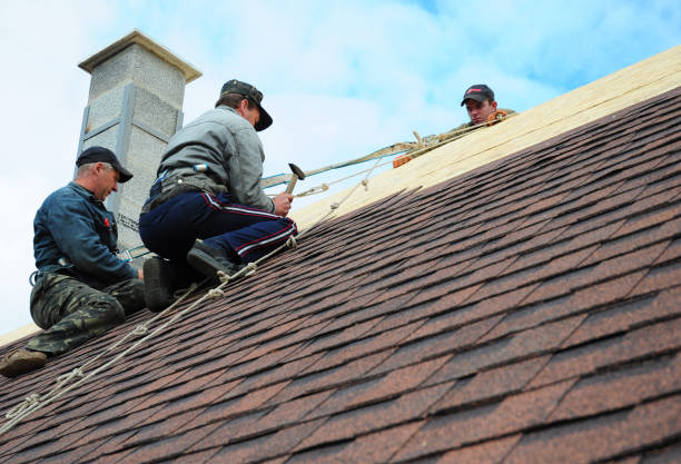 Quick and Trustworthy Emergency Roof Repair Services in Brazoria, TX